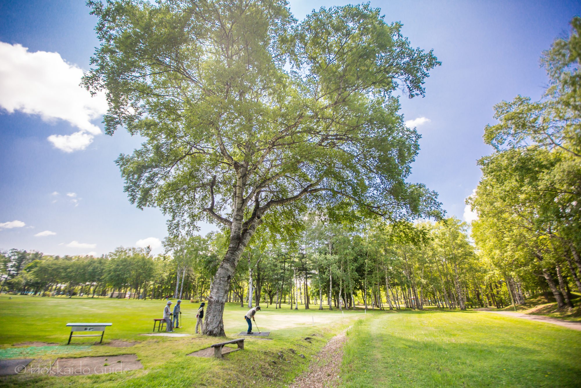 🏞️ 미도리가오카 공원 (미도리가오카 코엔) 이미지 11